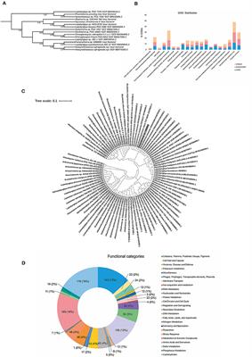High-Quality Draft Genome Sequence of Pantanalinema sp. GBBB05, a Cyanobacterium From Cerrado Biome